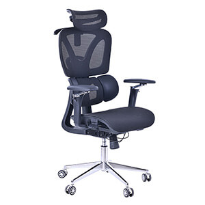Ergonomics Office Chair