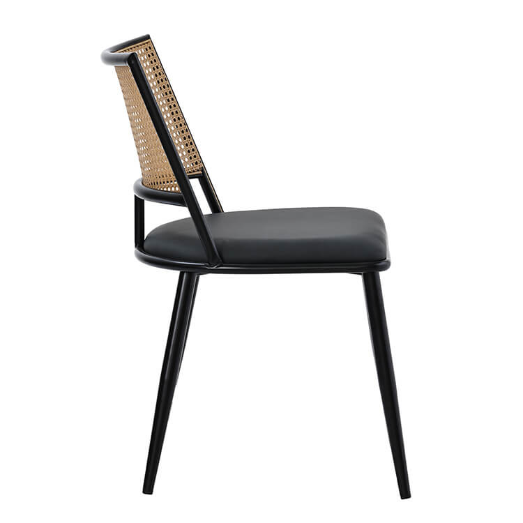 DC-2245 black leg (13)