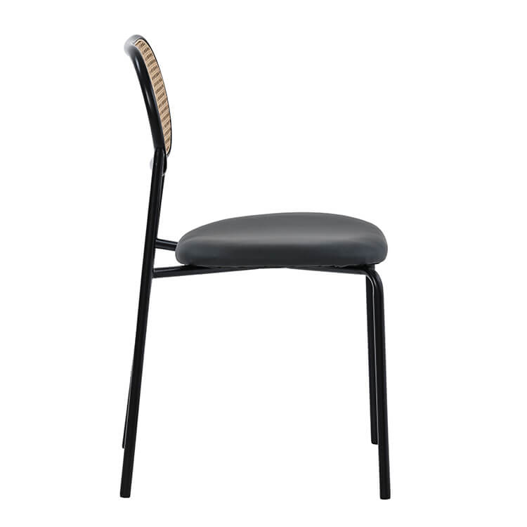 DC-2246 black leg (3)