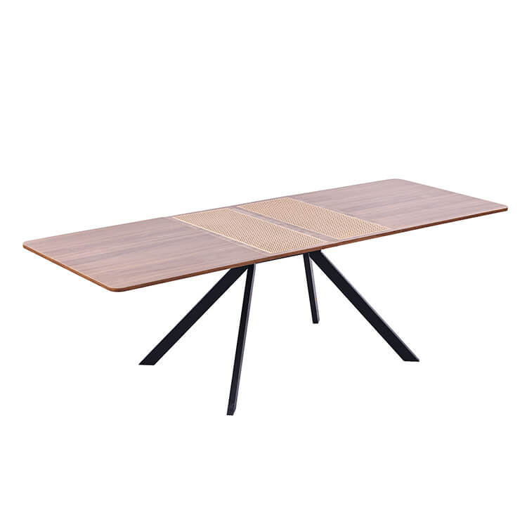 DT-2508 extendable (2)